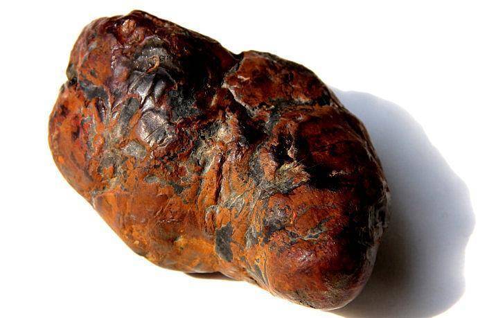 地球|地球原本没有人，那第一个“人”是怎么出现的？