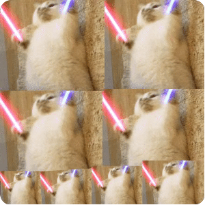 表情猫咪打call表情带字