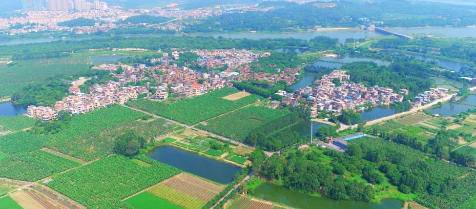 田心村挤上旧改末班车,增城这些村土豪梦碎?