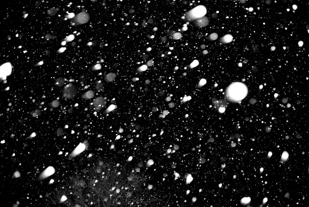 《期待一场雪花飘》_腾讯新闻