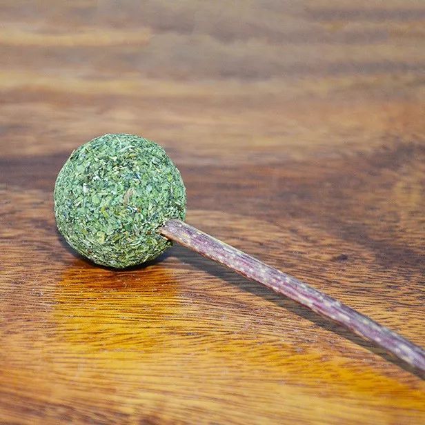 被毛孩子成功馋哭 请问能偷吃它的猫薄荷吗 腾讯新闻