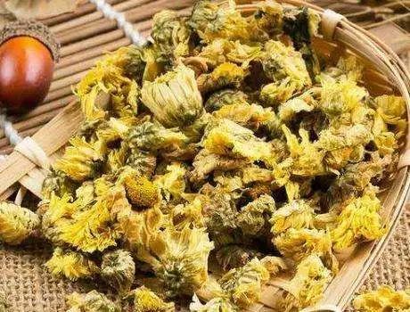 菊花和它是絕配經常泡水喝養肝又潤腸還能醒腦明目