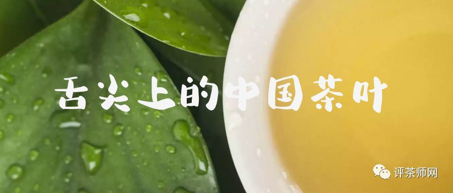 舌尖上的中国茶叶：安吉白茶的制作工艺