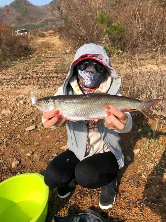 山西釣魚人,釣獲半米長馬口魚,網友:再長要成精