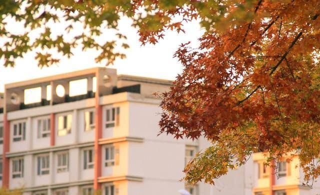 2019年中国大学分档次排名发布,你学校是哪个