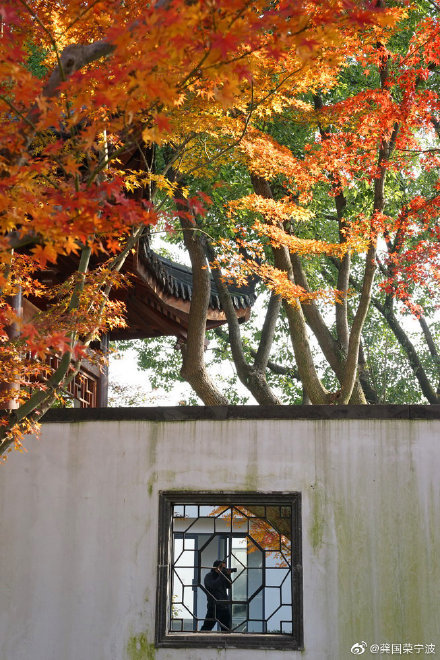 宁波园林博物馆秋色醉人不思归