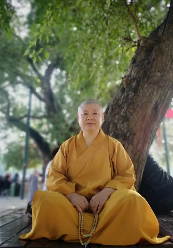 师父我想说