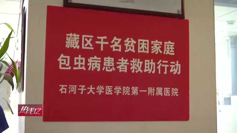 四年,他们救治了296名包虫病患者,让"虫癌"不再可怕