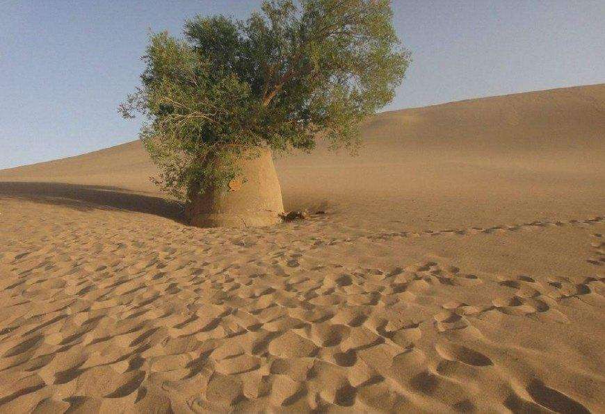 把沙漠的沙子全部挖空,底下到底有什么?说出来你可能不相信