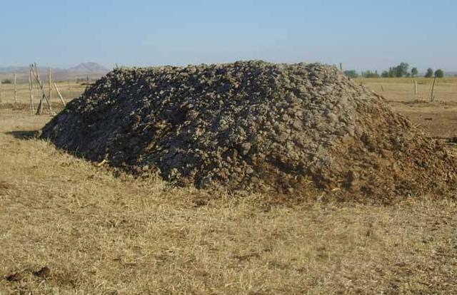 农村4种天然的绿色肥料用过的都老了你知道几种说说看