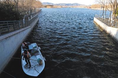 12月3日，团城湖调节池进水口。