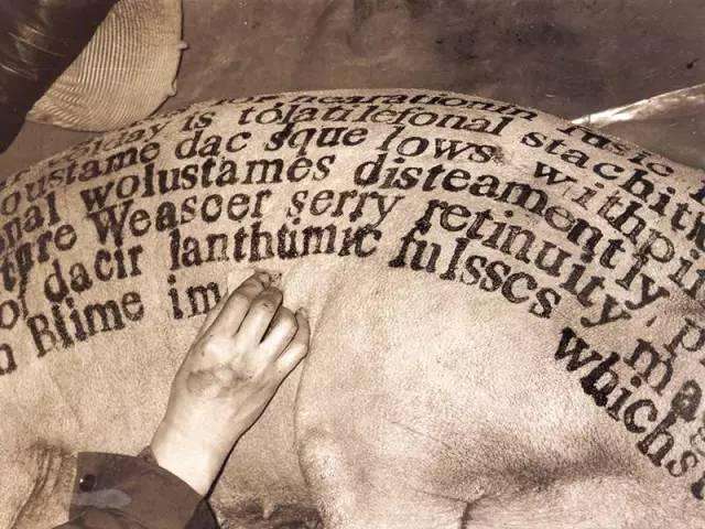 两只猪成就了他国际艺术大师地位,你还在嫌猪肉贵吗