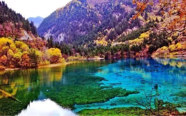 全世界最孤独的咖啡馆 为何鲜有人知 腾讯新闻