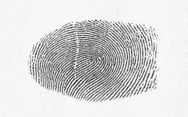 心理学:你中指的指纹,将直接暴露你今生会经历几次婚姻,超准!