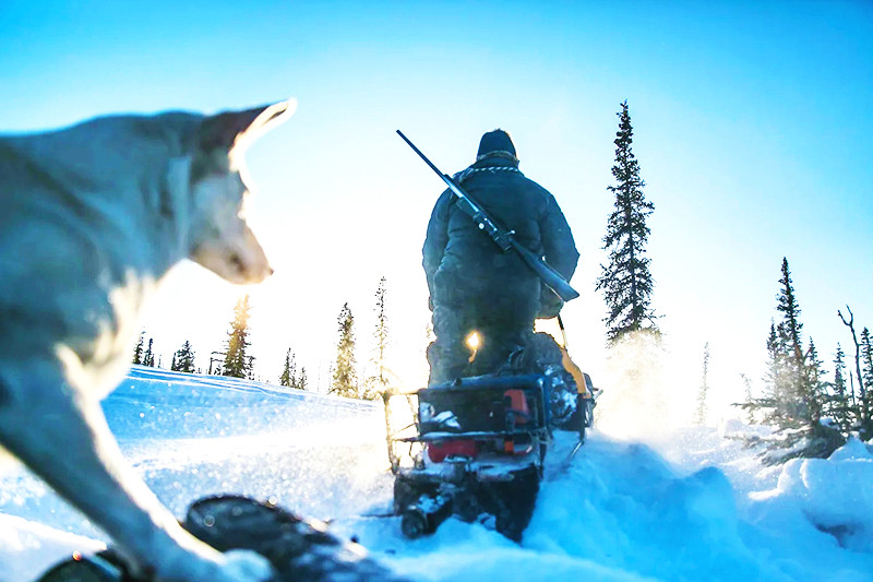 后继的奔赴俄罗斯西伯利亚地区,那个被誉为"国际狩猎场"的天然打猎区