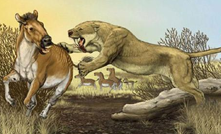 万兽之王剑齿虎以猛犸象为食比老虎凶猛百倍为何突然灭绝了