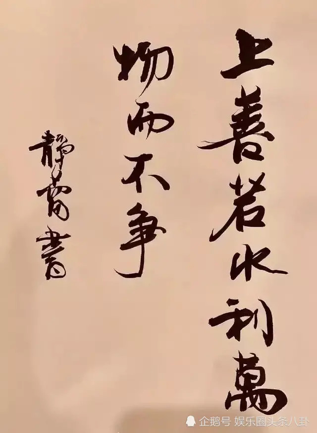徐静蕾的字体够遒劲有力了,当看到王珞丹字体:活该被笔尖上的中国收录