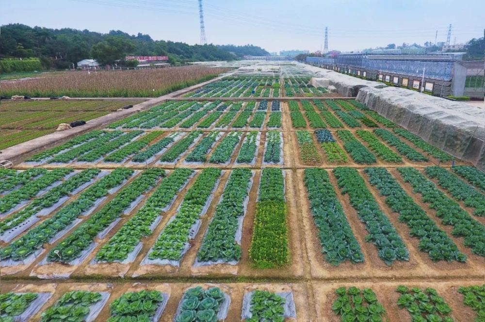 广东|投票啦！广东省十佳科普教育基地评选活动启动，你心水的是哪个？