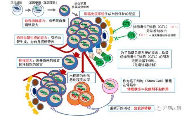 癌症患者做细胞免疫治疗究竟有没有效果 看完这篇文章你就清楚了 腾讯新闻