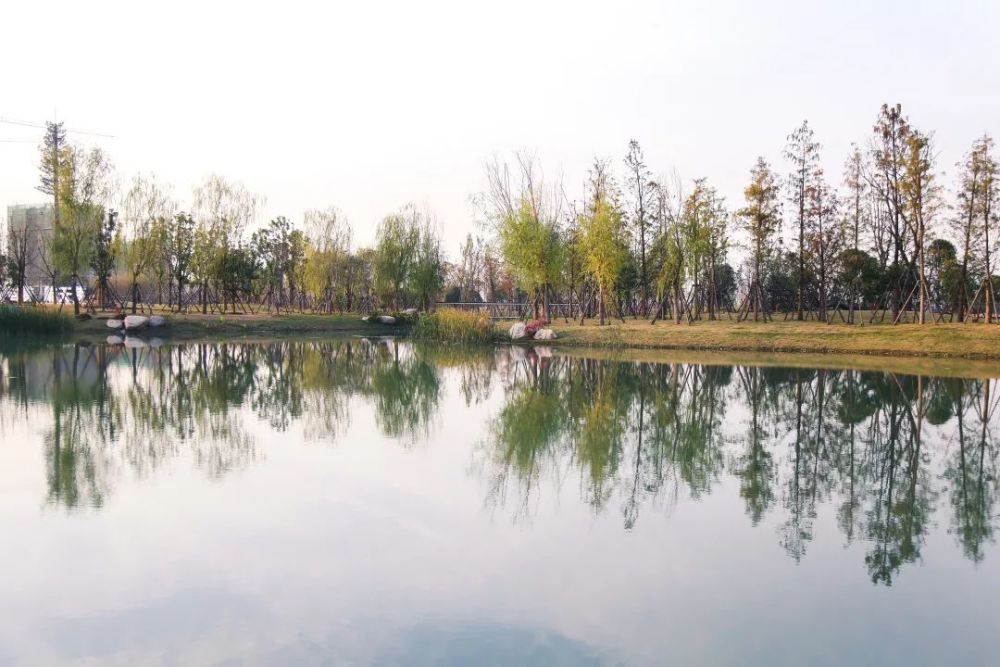 长江新区双柳航天公园建成