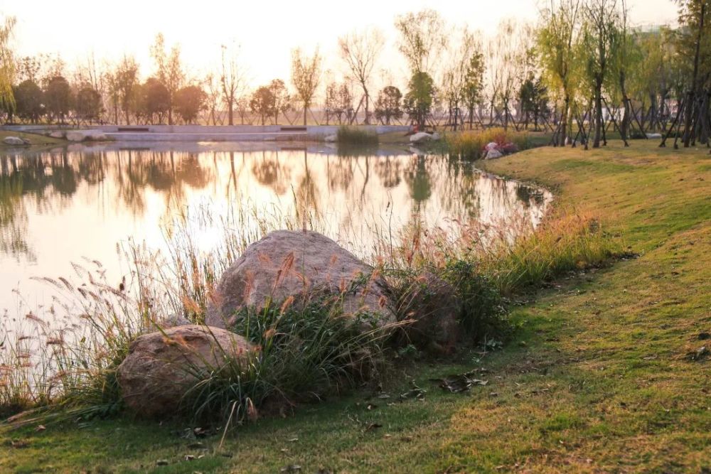 长江新区双柳航天公园建成