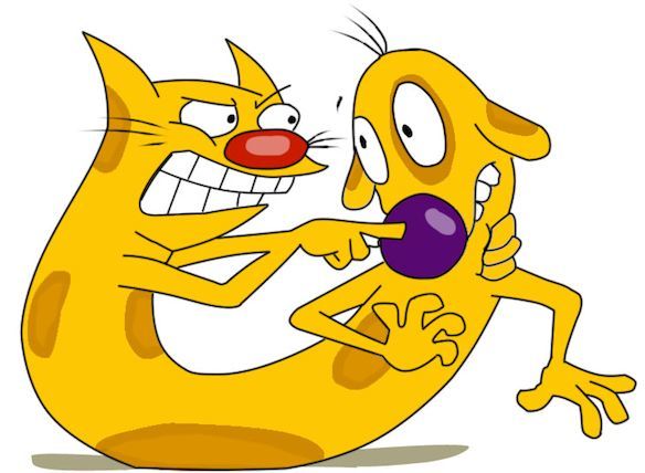 这是一只猫狗连体的神奇物种,猫和狗各有各的想法,它们每天的生活都