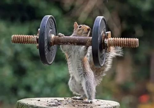 好身体是工作生活的本钱,不要等到重症来袭才捶胸顿足悔之晚矣.