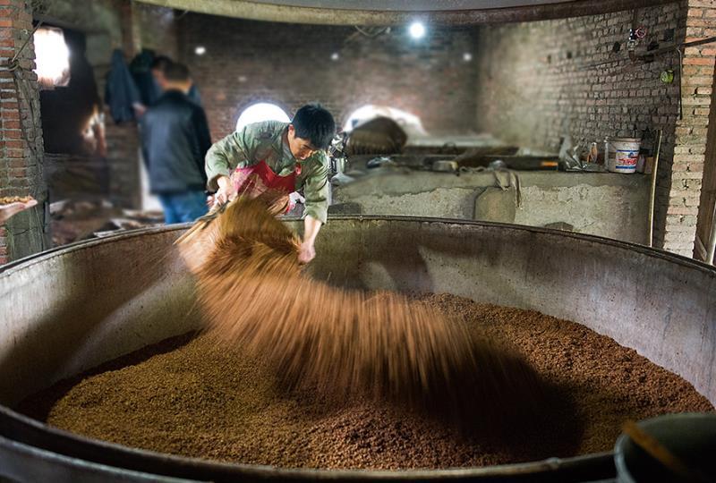 酿造纯粮酒粮食原料很关键如何选择原料关系白酒出酒率高低