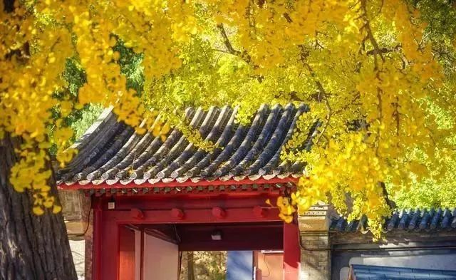 看淡才会快乐_关于看淡生活的经典语录_看淡生活才是真正的快乐