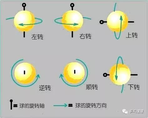 乒乓球的旋球主要分为六大类:上旋球,下旋球,左旋球,右旋球,顺旋球,逆