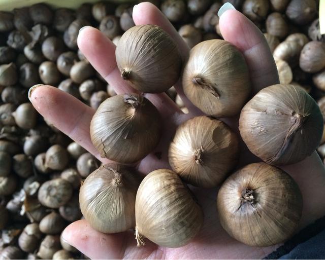 黑蒜养生也是一个骗局吗看完你还会吃吗