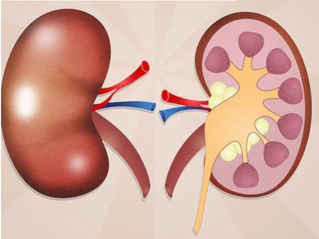 肾"坏"脚先知,脚上若出现"3个"反常趁早自查,或许肾脏已"伤痕累累"