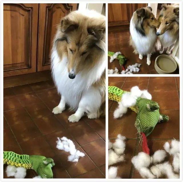 ▼生吃脑花!▼屁股开花!▼恢复出厂设置!