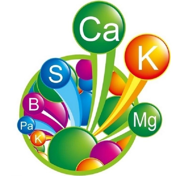 人寿保险生命周期表 人的生命周期表