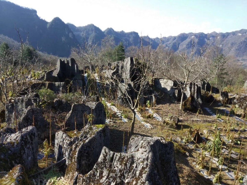 宁强草川子石林风光