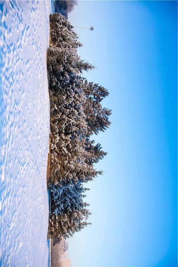 480米高空飞阅雪后冰城 幻乐之城#这是哈尔滨