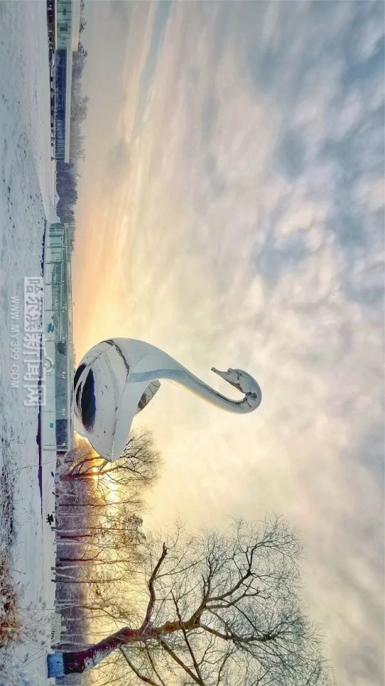 480米高空飞阅雪后冰城 幻乐之城#这是哈尔滨