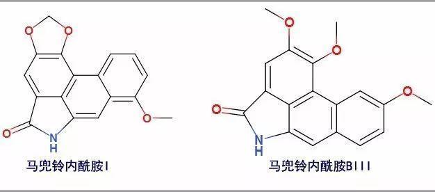 虽说目前还没有直接研究能够证明鱼腥草含有的马兜铃内酰胺成分不会