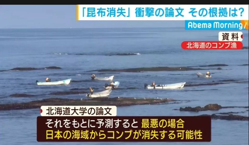 继海苔荒之后海带将消失 气候变化将日本推向粮食危机 腾讯新闻