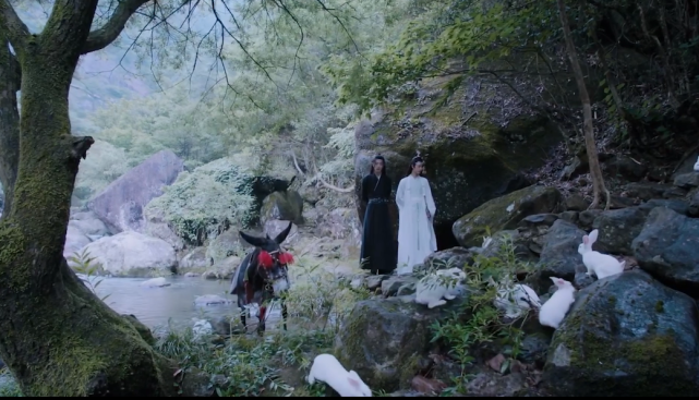 相信喜欢《陈情令》这部电视剧的小伙伴,肯定也都知道,第一次出现兔子