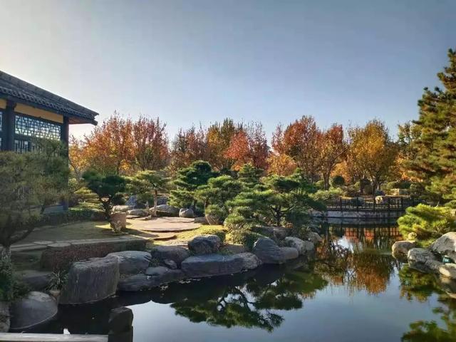 藏在西安曲江的这座山水庄园,美得不像话