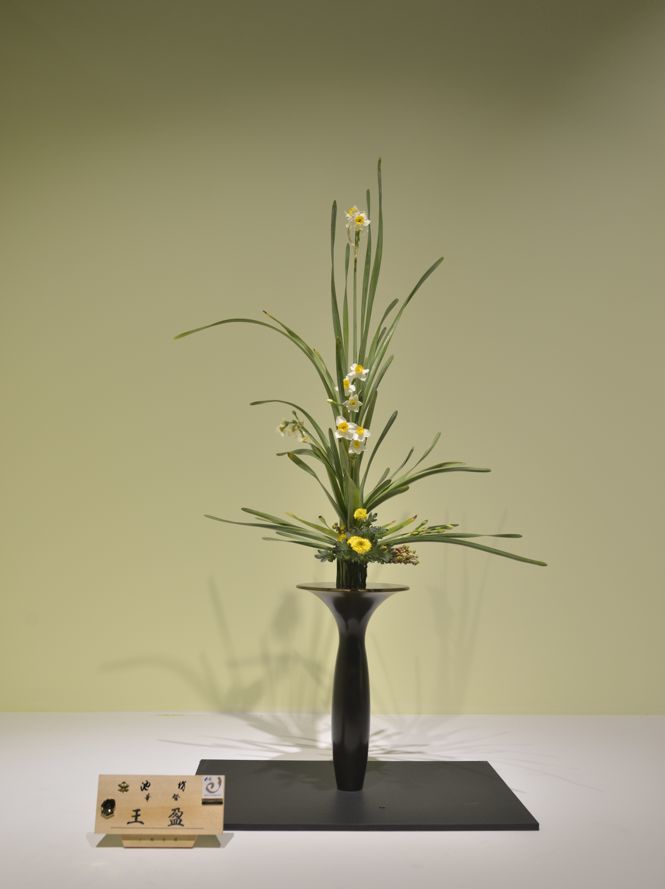 望月湖的花又开了 腾讯新闻