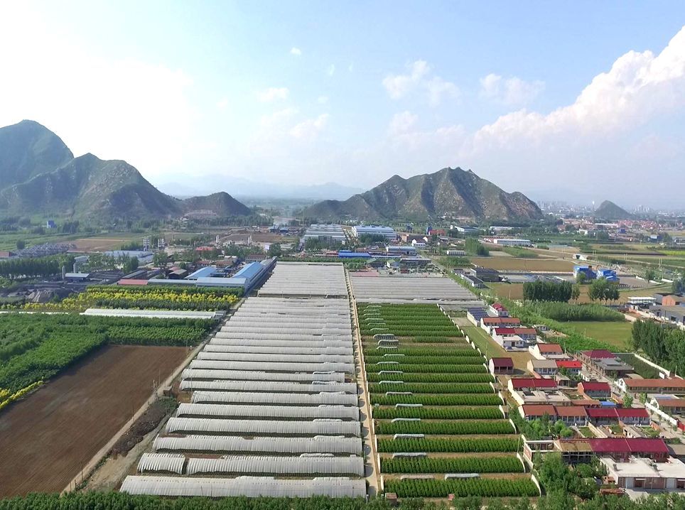 每一口都是精华!这里是否有你记忆中的味道