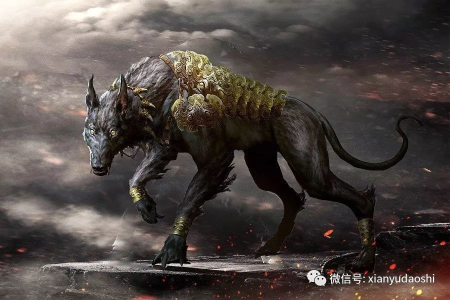 世界神话中的四大恶犬 代表地狱和死亡 每一只都超凶的 腾讯新闻