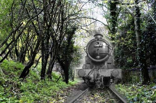 俄罗斯果戈里幽灵列车事件:火车载着104