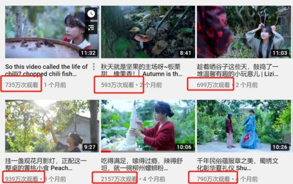 李子柒走红国外 Youtube粉丝752万 一年分红4452万元 腾讯新闻