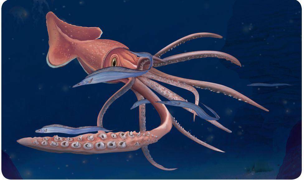 鲸鱼|被鲸鱼吞下肚后，人类活着的可能性有多大？