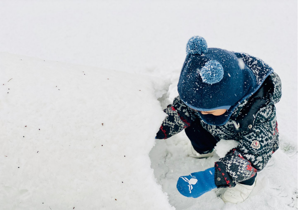 靳東妻子曬小兒子近照,在雪地裡玩耍心情有點激動