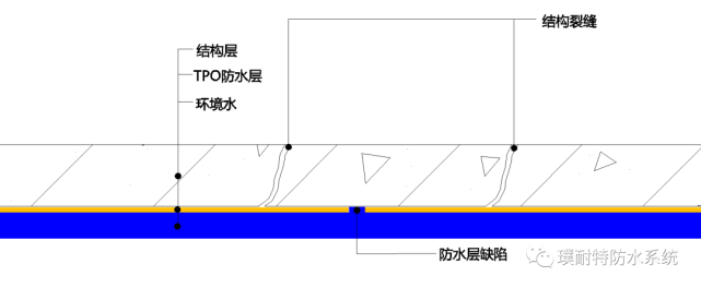 tpo防水卷材|預鋪防水卷材|溼鋪防水卷材|混凝土|保護層