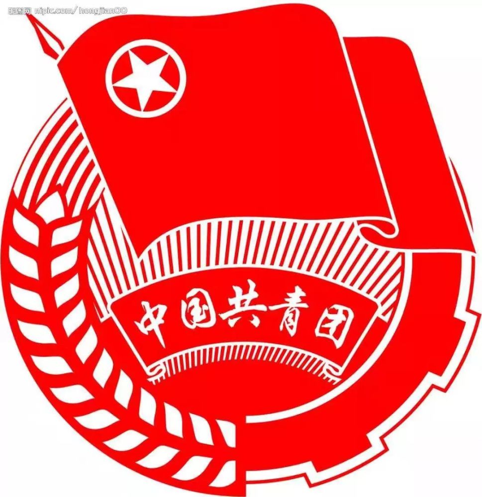 团代会的代表是由团员选举产生的 他们集中反映了广大团员的意志 做好